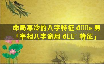 命局寒冷的八字特征 🌻 男「宰相八字命局 🌴 特征」